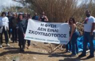 Εκστρατεία καθαριότητας στην Παραλιακή περιοχή  