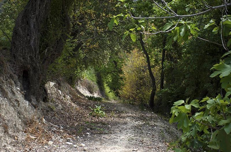 Εξακολουθούν να παραμένουν κλειστά Μονοπάτια της Φύσης ενημερώνει το Τμήμα Δασών