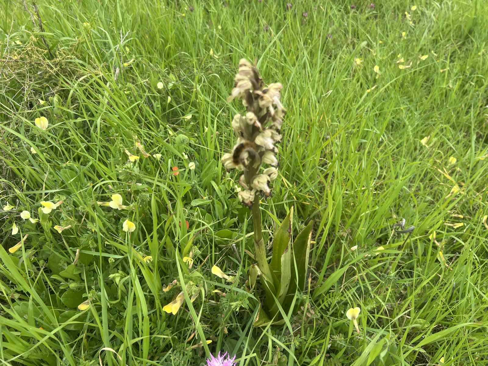 Προβληματισμός Α. Θεοδοσίου για τα έργα στον Ακάμα και τις περιβαλλοντικές επιπτώσεις