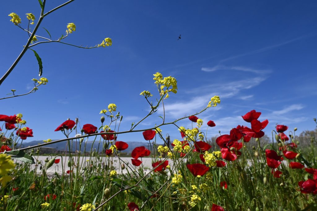 Τμ. Μετεωρολογίας:  Αναμένεται καλοκαιρία Κυριακή και Δευτέρα του Πάσχα