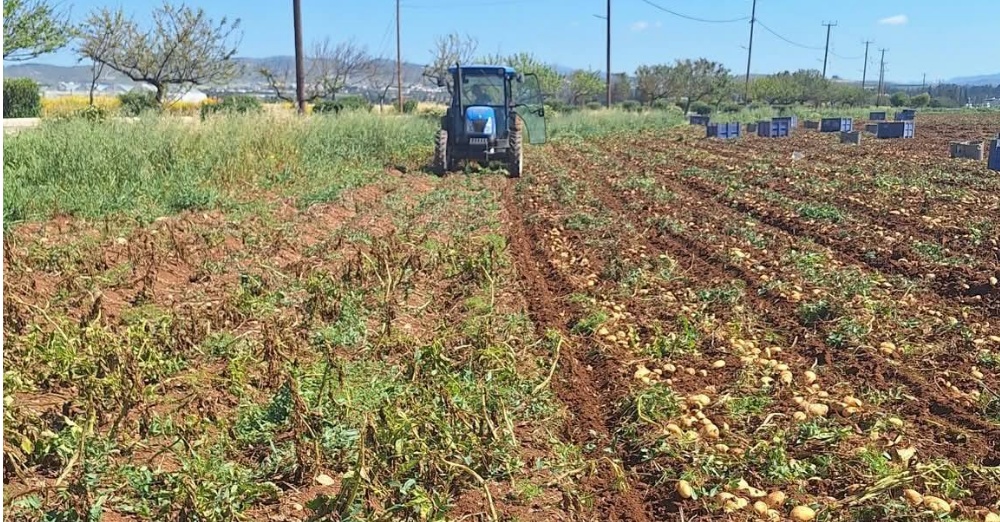 Η γη της Πάφου αποκαλύπτει τον θησαυρό της