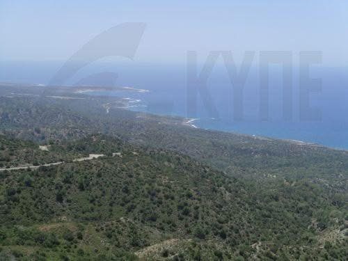 Αντιδρούν οι 