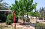 Ένας κρυμμένος φυσικός θησαυρός στην Χλώρακα :Μήνυμα προστασίας της φύσης από τον Ανδρέα Κυριακού