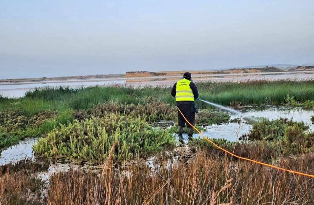 Εκστρατεία ψεκασμών από τον ΕΟΑ Πάφου για κατσαρίδες και τρωκτικά από Μάιο έως Ιούλιο
