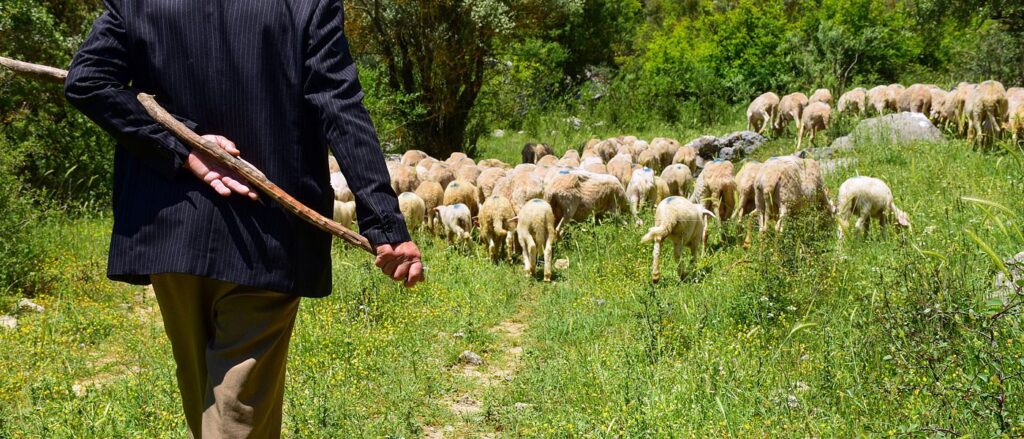 &Sigma;&epsilon; &epsilon;&xi;έ&lambda;&iota;&xi;&eta; &eta; &delta;&iota;&alpha;&mu;&alpha;&rho;&tau;&upsilon;&rho;ί&alpha; &tau;&omega;&nu; &kappa;&tau;&eta;&nu;&omicron;&tau;&rho;ό&phi;&omega;&nu; &theta;&alpha; &kappa;&alpha;&tau;&epsilon;&upsilon;&theta;&upsilon;&nu;&theta;&omicron;ύ&nu; έ&xi;&omega; &alpha;&pi;ό &tau;&omicron; &Pi;&rho;&omicron;&epsilon;&delta;&rho;&iota;&kappa;ό