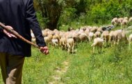 Σε εξέλιξη η διαμαρτυρία των κτηνοτρόφων θα κατευθυνθούν έξω από το Προεδρικό
