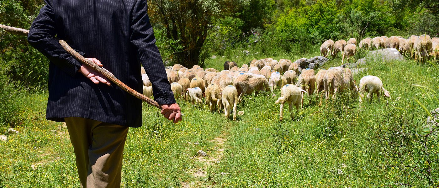 Σε εξέλιξη η διαμαρτυρία των κτηνοτρόφων θα κατευθυνθούν έξω από το Προεδρικό