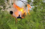 Σε 48ωρη απεργία κατέρχονται οι Δασοπυροσβέστες