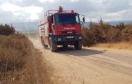 Υπό πλήρη έλεγχο πυρκαγιά στην Πέγεια