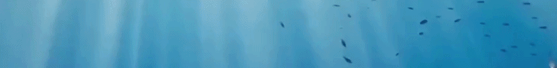 Blue Island 2