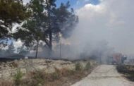 Πυρκαγιά στα όρια του δάσους Ακάμα αντιμετώπισαν οι δυνάμεις πυρόσβεσης