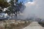 Πυρκαγιά στα όρια του δάσους Ακάμα αντιμετώπισαν οι δυνάμεις πυρόσβεσης