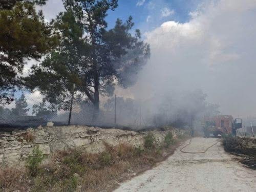 Πυρκαγιά στα όρια του δάσους Ακάμα αντιμετώπισαν οι δυνάμεις πυρόσβεσης