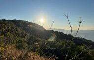 Σε «κόκκινο» συναγερμό η χώρα, μεγάλος κίνδυνος δασικών πυρκαγιών