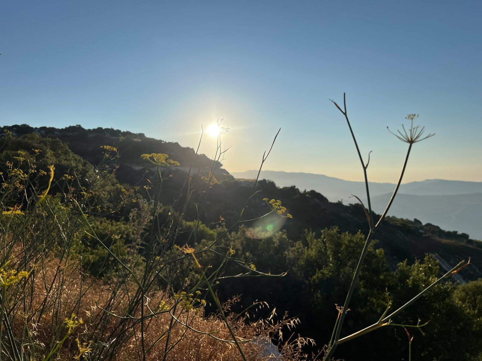 Σε «κόκκινο» συναγερμό η χώρα, μεγάλος κίνδυνος δασικών πυρκαγιών