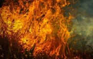 Υπό πλήρη έλεγχο δασική πυρκαγιά στην κοινότητα Δρούσειας, της επαρχίας Πάφου