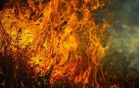Υπό πλήρη έλεγχο δασική πυρκαγιά στην κοινότητα Δρούσειας, της επαρχίας Πάφου