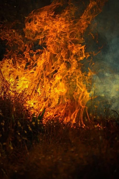 Υπό πλήρη έλεγχο δασική πυρκαγιά στην κοινότητα Δρούσειας, της επαρχίας Πάφου