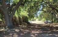 Ξεκίνησε η δημιουργία αντιπυρικής ζώνης στον ποταμό της Πάφου: Το πρώτο βήμα για το νέο Γραμμικό Πάρκο