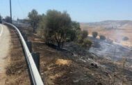 Υπό πλήρη έλεγχο οι δασικές πυρκαγιές στην επαρχία Πάφου