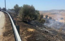 Υπό πλήρη έλεγχο οι δασικές πυρκαγιές στην επαρχία Πάφου