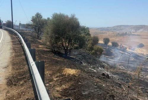 Υπό πλήρη έλεγχο οι δασικές πυρκαγιές στην επαρχία Πάφου