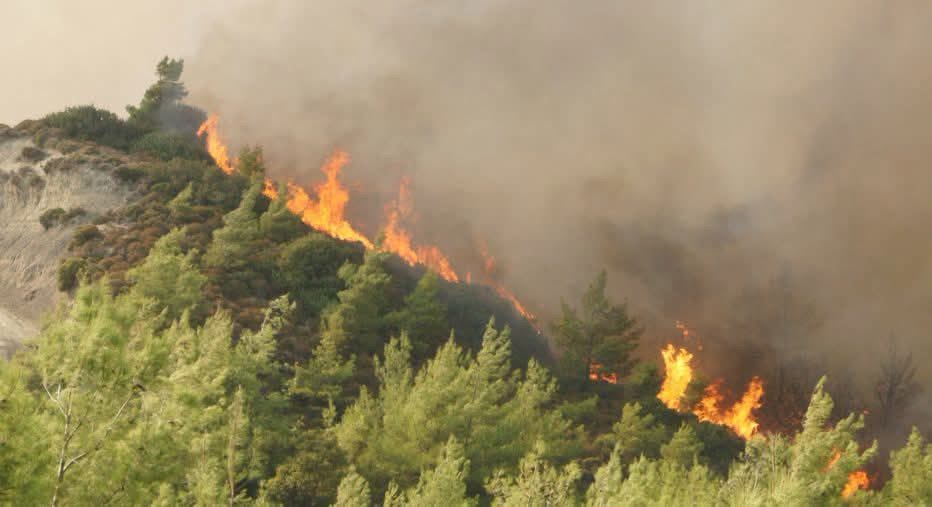 Υπό έλεγχο η πυρκαγιά στη Μαραθούντα που κατέκαψε  περίπου τέσσερα εκτάρια, θα διερευνηθούν τα αίτια