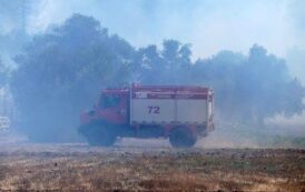 Δασικές πυρκαγιές στη Λυσού αντιμετώπισαν το Σάββατο οι δυνάμεις πυρόσβεσης