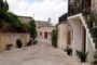 Χρηματοδότηση για δενδροφύτευση στη Λάσα από Γραφείο Επιτρόπου Περιβάλλοντος