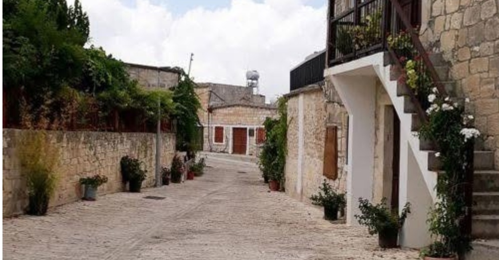Χρηματοδότηση για δενδροφύτευση στη Λάσα από Γραφείο Επιτρόπου Περιβάλλοντος